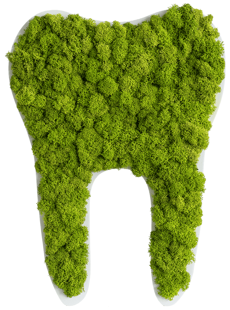 Moos Zahn Piktogramm