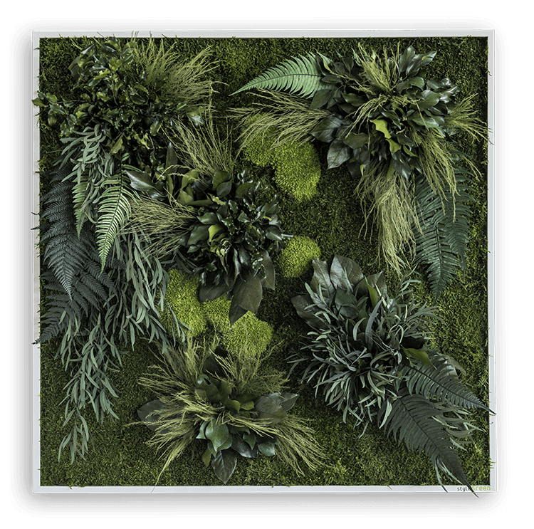 Pflanzenbild 80x80cm