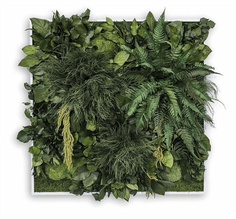 Dschungelbild 80x80cm