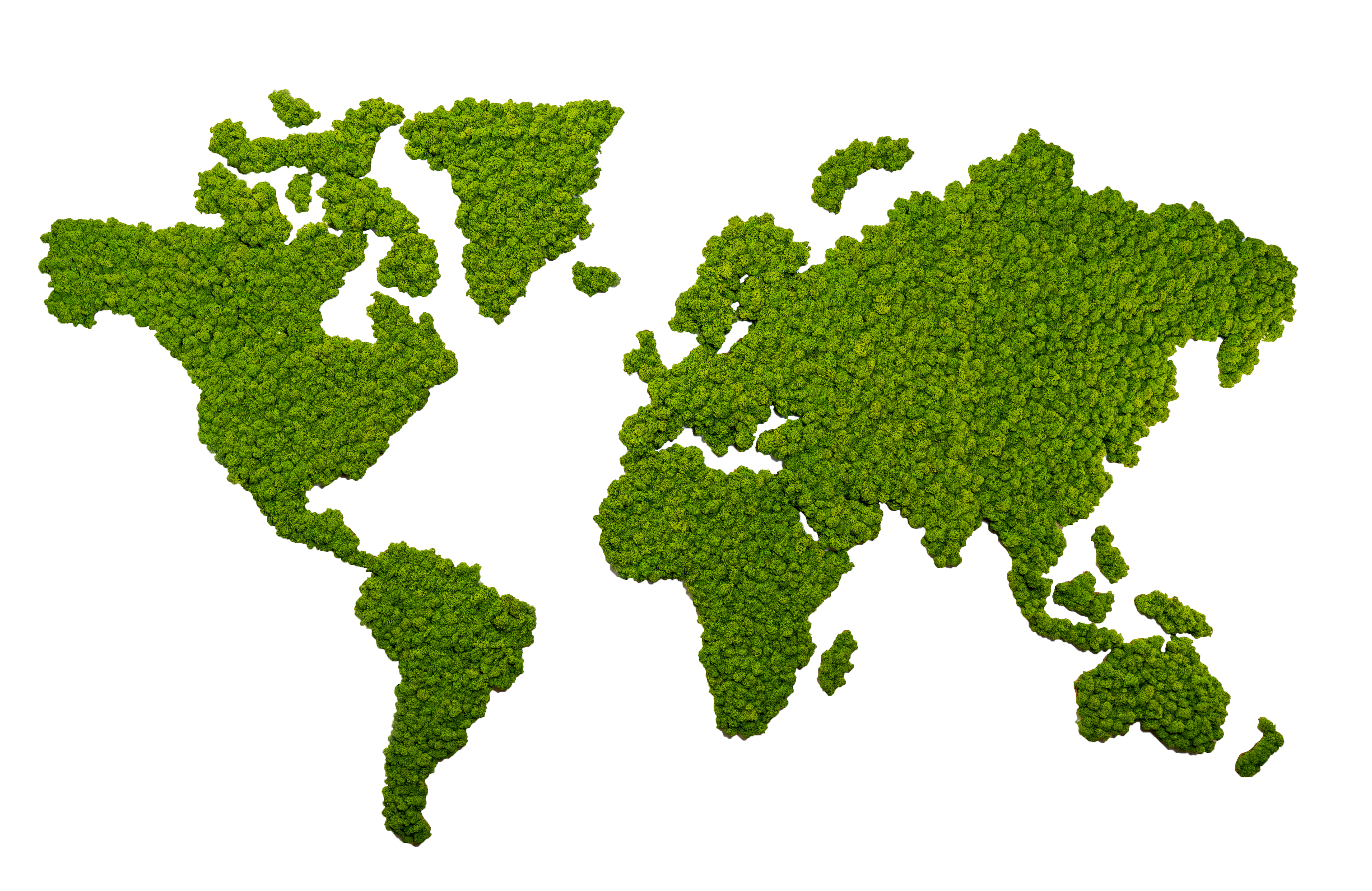 Islandmoos Weltkarte