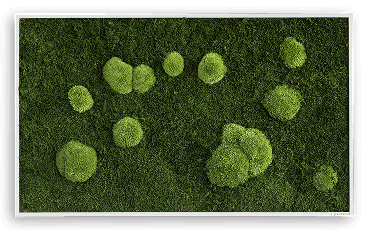 Wald- und Kugelmoosbild 100x60cm