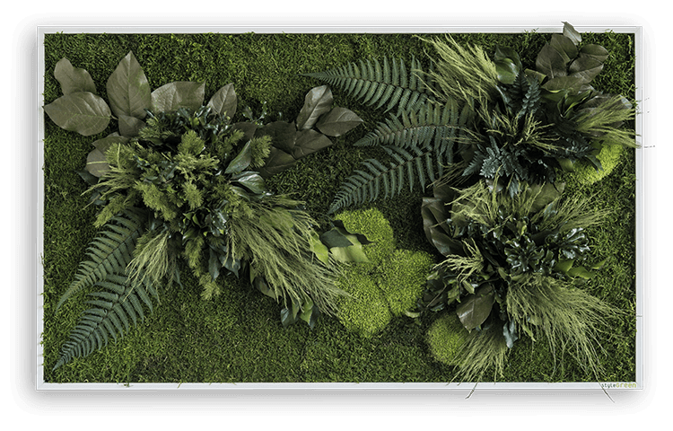 Pflanzenbild 100x60cm