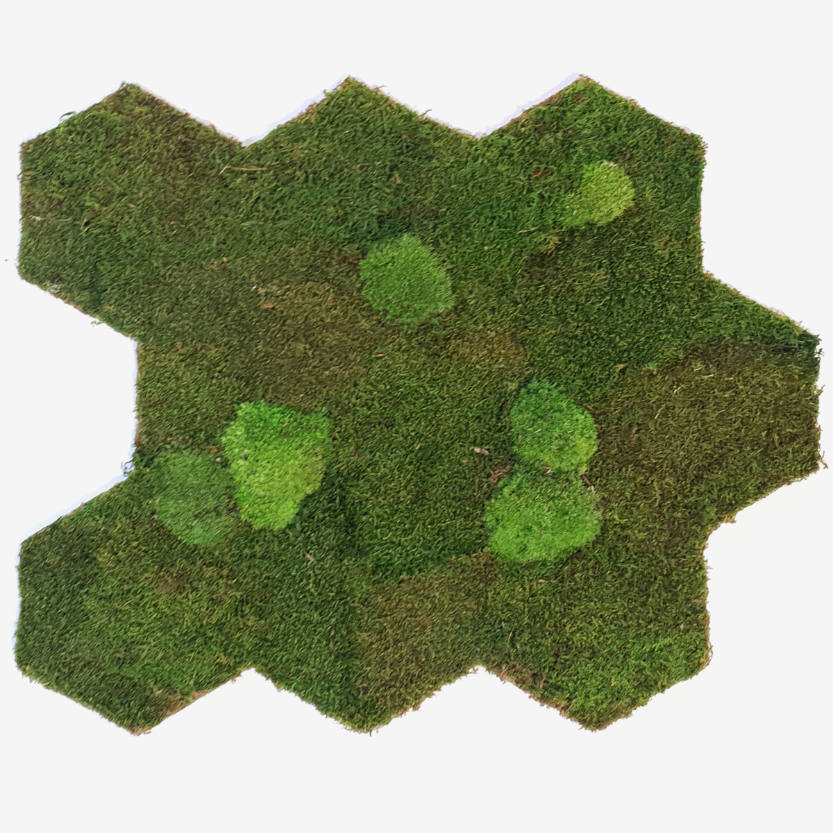 RZ Moos Matte - Wald- & Kugelmoos (2 Stk.)